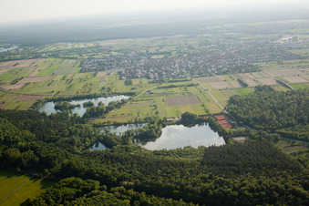 Anglersee im Ortsteil Rot in St. Leon-Rot im Bundesland Baden-Württemberg, Deutschland