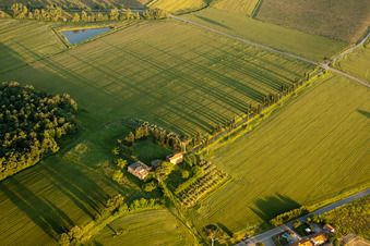 Grasflächen- Strukturen einer Feld- Landschaft mit langen Schatten der Zypressenallee des alten Gehöfts Az. Agr. San Luciano in Monte San Savino im Bundesland Arezzo, Italien