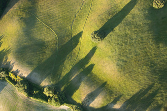 Grasflächen- Strukturen einer Feld- und Wiesen- Landschaft mit Baumschatten im Ortsteil Località Il Colle in Trequanda im Bundesland Siena, Italien