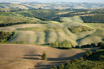 Vergelle (Toscana), Italien