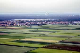 Schrägluftbild von Ortsansicht der Straßen und Häuser der Wohngebiete in Bellheim im Bundesland Rheinland-Pfalz, Deutschland