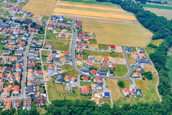 Luftbild von Ortsteil Ansicht von Osten im Ortsteil Hardtwald in Neupotz im Bundesland Rheinland-Pfalz, Deutschland