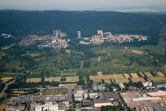Dachsbuckel im Ortsteil Rohrbach in Heidelberg im Bundesland Baden-Württemberg, Deutschland