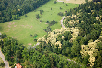 Speyererhofweg im Ortsteil Königstuhl in Heidelberg im Bundesland Baden-Württemberg, Deutschland