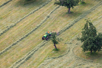 Mäharbeiten auf dem Bierhelderhof im Ortsteil Königstuhl in Heidelberg im Bundesland Baden-Württemberg, Deutschland