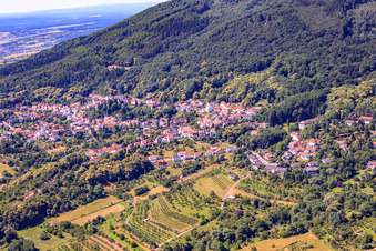 Am Dieterswald in Dannenfels im Bundesland Rheinland-Pfalz, Deutschland