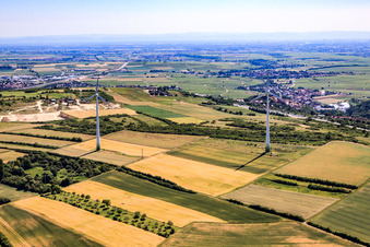 Luftbild von Windpark über Grünstadt in Tiefenthal im Bundesland Rheinland-Pfalz, Deutschland