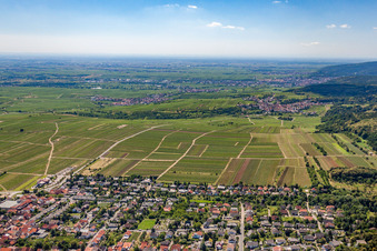 Weisenheim am Berg und Leistadt in Bad Dürkheim im Bundesland Rheinland-Pfalz, Deutschland