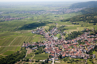 Dorf - Ansicht am Rande von landwirtschaftlichen Feldern und Nutzflächen in Leistadt in Bad Dürkheim im Bundesland Rheinland-Pfalz, Deutschland