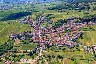 Dorf - Ansicht am Rande von landwirtschaftlichen Feldern und Nutzflächen im Ortsteil Leistadt in Bad Dürkheim im Bundesland Rheinland-Pfalz, Deutschland