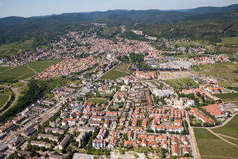 Triftweg im Ortsteil Pfeffingen in Bad Dürkheim im Bundesland Rheinland-Pfalz, Deutschland