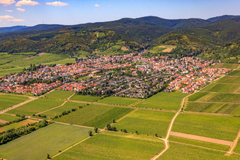 Winzerdorf zwischen Weinbergen von Nordosten in Wachenheim an der Weinstraße im Bundesland Rheinland-Pfalz, Deutschland