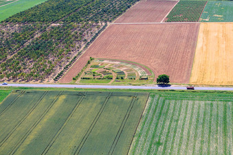 Bunte Beet- Reihen auf einem Feld zur Gemüse- und Blumenzucht in Kleinfischlingen im Bundesland Rheinland-Pfalz, Deutschland