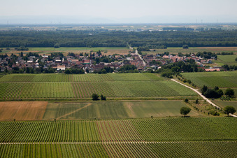 Luftbild von Ortsteil Niederhochstadt in Hochstadt im Bundesland Rheinland-Pfalz, Deutschland