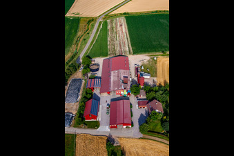 Schrägluftbild von Hansjörg Körkel & Cornelia Will-Körkel Kirschhof im Ortsteil Bodersweier in Kehl im Bundesland Baden-Württemberg, Deutschland