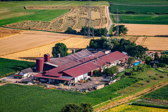 Hansjörg Körkel & Cornelia Will-Körkel Kirschhof im Ortsteil Bodersweier in Kehl im Bundesland Baden-Württemberg, Deutschland aus der Luft