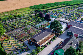 Gartenzeiten Schwarz im Ortsteil Bodersweier in Kehl im Bundesland Baden-Württemberg, Deutschland von oben