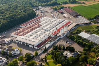 Gebäude und Produktionshallen auf dem Werksgelände WeberHaus GmbH & Co. KG im Ortsteil Linx in Rheinau im Bundesland Baden-Württemberg, Deutschland aus der Luft