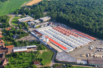 Fa. Weber-Haus im Ortsteil Linx in Rheinau im Bundesland Baden-Württemberg, Deutschland vom Flugzeug aus