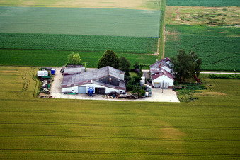 Steinweiler, Wein u. Sektgut Rosenhof im Bundesland Rheinland-Pfalz, Deutschland