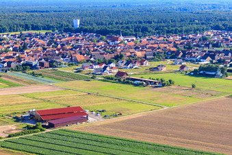 Pferdepension Seehof in Hatzenbühl im Bundesland Rheinland-Pfalz, Deutschland