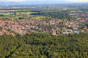 Luftbild von Stadtansicht von Norden in Jockgrim im Bundesland Rheinland-Pfalz, Deutschland