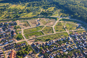 Vogelring im Neubaugebiet SW in Jockgrim im Bundesland Rheinland-Pfalz, Deutschland