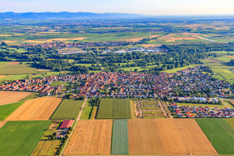 Ortsansicht von Süden in Steinweiler im Bundesland Rheinland-Pfalz, Deutschland