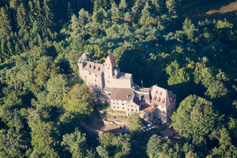 Luftaufnahme von Erlenbach bei Dahn, Burg Berwartstein im Bundesland Rheinland-Pfalz, Deutschland
