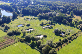 Biotop Steinfeld am Fischweiher im Bundesland Rheinland-Pfalz, Deutschland