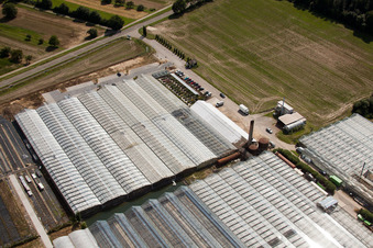 Schrägluftbild von Malsch, Reiß Gartenbau im Bundesland Baden-Württemberg, Deutschland