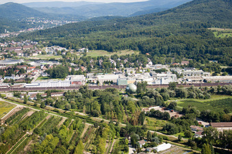 Baden-Oos, Biologische Heilmittel Heel in Baden-Baden im Bundesland Baden-Württemberg, Deutschland