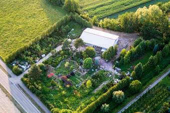 Freckenfeld, Gärtnerei im Ortsteil Schaidt in Wörth am Rhein im Bundesland Rheinland-Pfalz, Deutschland