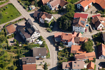 Bühl-Kappelwindeck, Rebstock im Ortsteil Riegel im Bundesland Baden-Württemberg, Deutschland