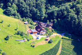 Im Hennegraben im Ortsteil Riegel in Bühl im Bundesland Baden-Württemberg, Deutschland