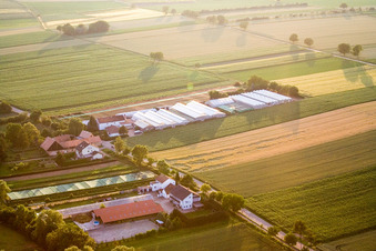 Schaidt, Weilerhof in Wörth am Rhein im Bundesland Rheinland-Pfalz, Deutschland
