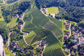 Weinbergsteilhänge am Büchelbach in Sasbachwalden im Bundesland Baden-Württemberg, Deutschland