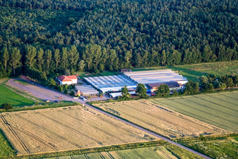 Kakteenland in Steinfeld im Bundesland Rheinland-Pfalz, Deutschland