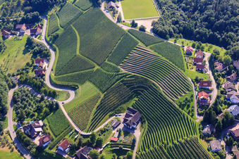 Kappelrodeck, Weinberge bei  Bernhardshöfe im Ortsteil Büchelbach in Sasbachwalden im Bundesland Baden-Württemberg, Deutschland