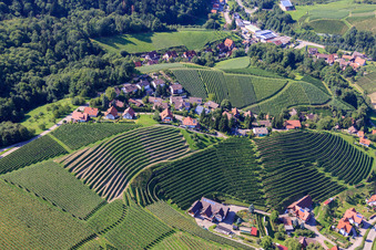 Luftbild von Weinbergsteilhänge im Eichwald im Ortsteil Büchelbach in Sasbachwalden im Bundesland Baden-Württemberg, Deutschland