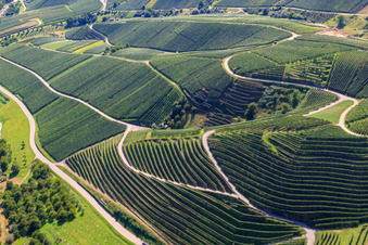 Luftbild von Weinbergsteilhänge am Büchelbach in Kappelrodeck im Bundesland Baden-Württemberg, Deutschland