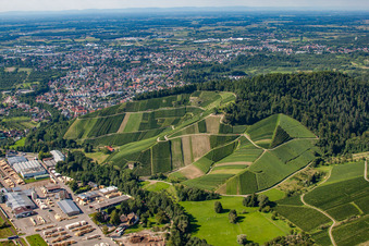 Bienenbuckel in Achern im Bundesland Baden-Württemberg, Deutschland
