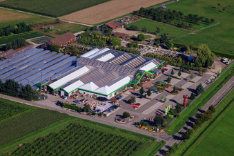 Decker Blumen GmbH im Ortsteil Großweier in Achern im Bundesland Baden-Württemberg, Deutschland