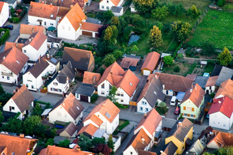 Im Gänsried in Freckenfeld im Bundesland Rheinland-Pfalz, Deutschland