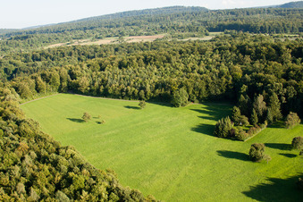Naturschutzgebiet Kettelbachtal im Ortsteil Obernhausen in Birkenfeld im Bundesland Baden-Württemberg, Deutschland aus der Luft betrachtet