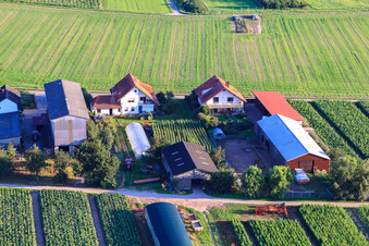 Luftbild von Aussiedlerhöfe Am Bildstöckel in Hatzenbühl im Bundesland Rheinland-Pfalz, Deutschland