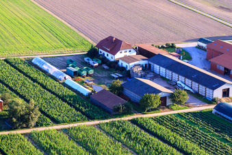 Luftbild von Aussiedlerhöfe Am Bildstöckel Familie Dobler in Hatzenbühl im Bundesland Rheinland-Pfalz, Deutschland