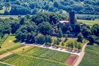 Weiler, Ruine Steinsberg in Sinsheim im Bundesland Baden-Württemberg, Deutschland