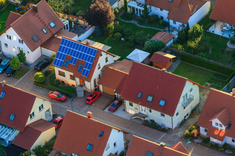 Im Storchennest in Erlenbach bei Kandel im Bundesland Rheinland-Pfalz, Deutschland
