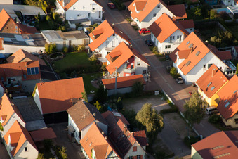 Im Storchennest in Erlenbach bei Kandel im Bundesland Rheinland-Pfalz, Deutschland aus der Luft